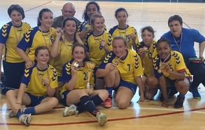 Bilan sportif de la saison 2016 - 2017