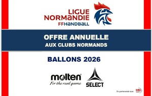 Offre BALLONS HN Sport