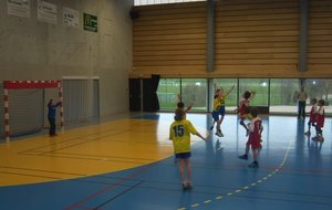 G11 / Bray Handball