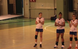563b5a1893b10_margot9.JPG