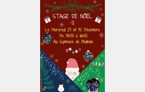 5fdc8ff14269e_Affichestage11.png