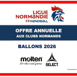 Offre BALLONS HN Sport